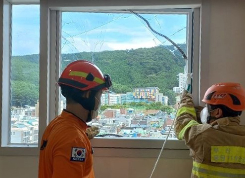 기사사진