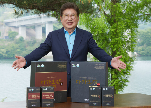 기사사진