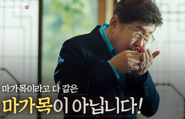 울릉도 청정지역에서 자생하는 마가목은 다르다. /울릉산림농산