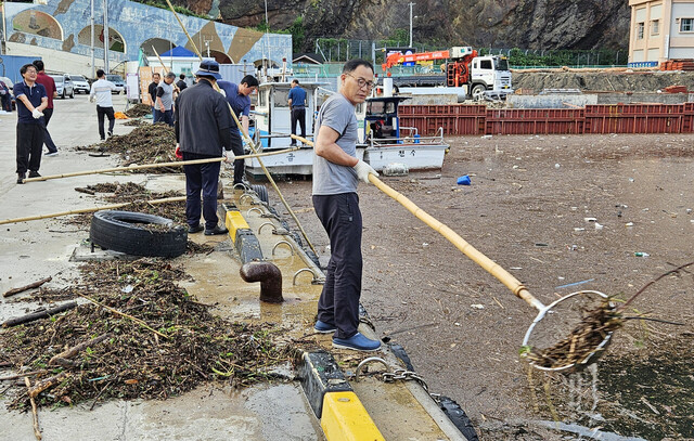 어민들이 저동항내 유입된 쓰레기를 건저 올리고 있다. 저동 항 내가 쓰레기로 뒤 덮여 바닷물이 보이지 않는다, /김두한 기자  