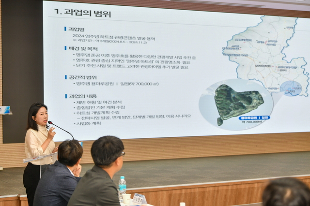 용역사 관계자가 사업 설명을 하고 있다. /영주시 제공