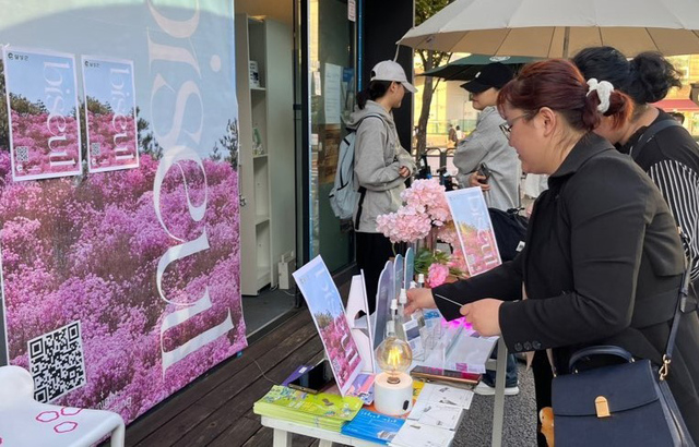 기사사진