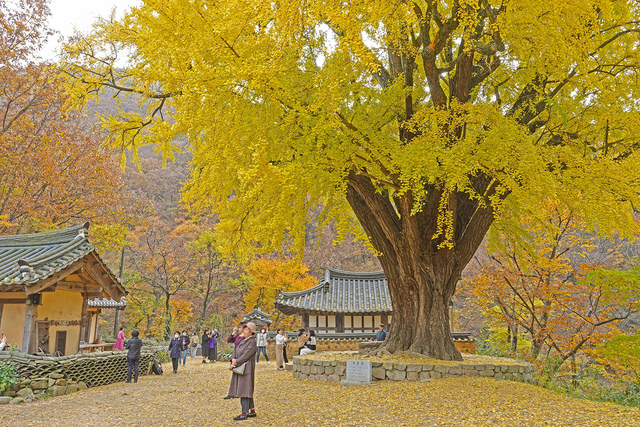 운곡서원
