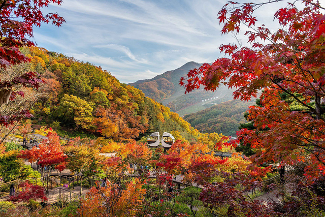 경기도 광주 화담숲.