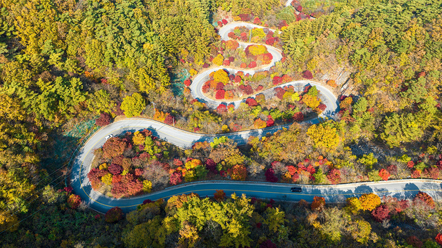 충북 단양 보발재.