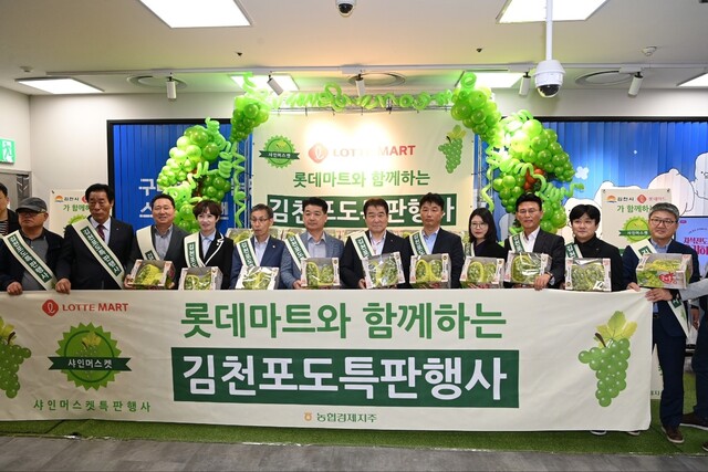 기사사진