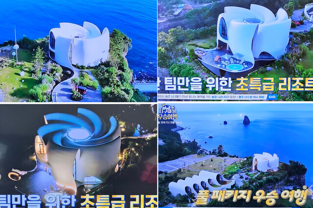 세계 최고를 자랑하는 울릉도 코스모스 리즈트./ENA캡처