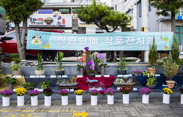 도동항 해변공원에 전시된 힐링원예작품./울릉군제공