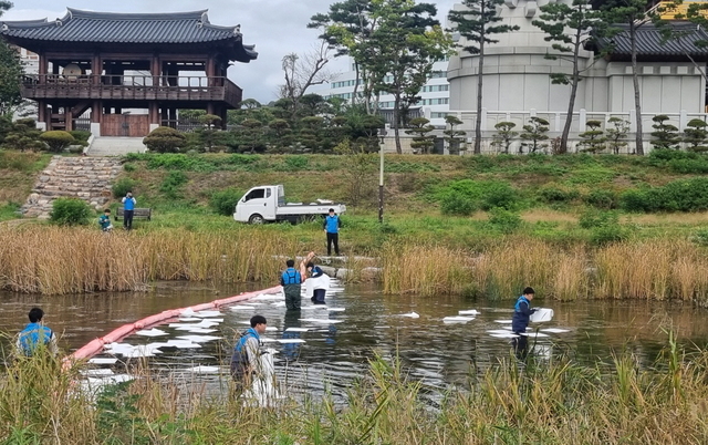 기사사진
