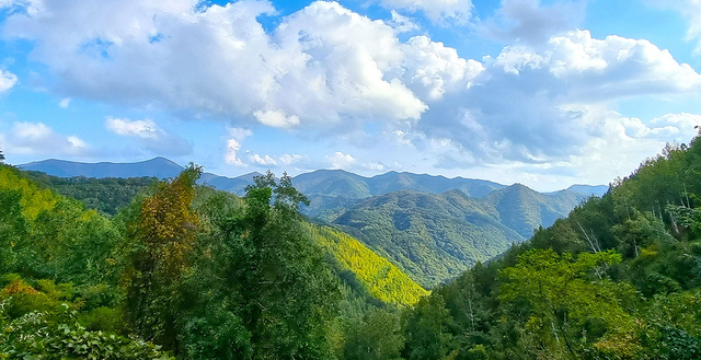 전망대에서 본 풍광.