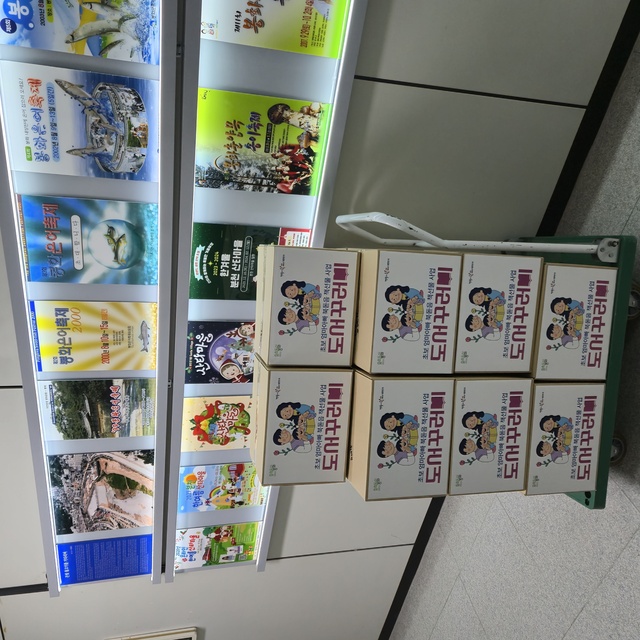 기사사진
