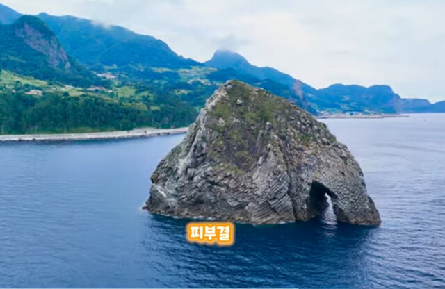 대상 영상. 물밖의 코끼리 바위. /영상캡처