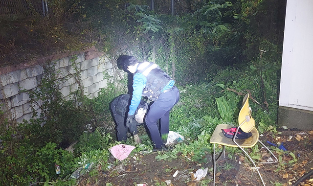 기사사진