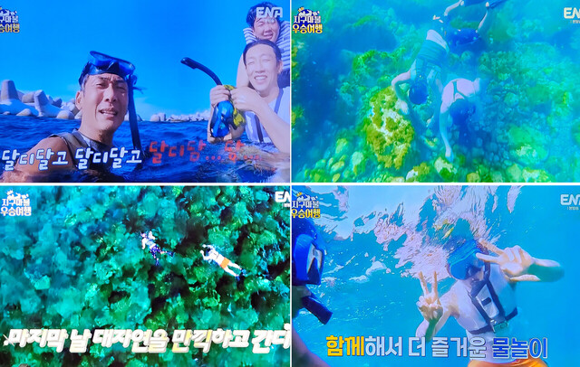 에메랄드 빛 울릉도 바다에서 마지막 스로킹을 즐기는 지구마불 우승여행./ENA캡처