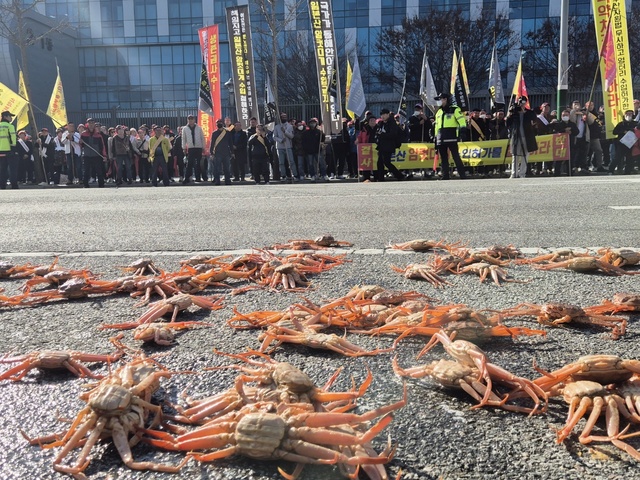 북도와 강원도 어업인들이 식품의약품안전처 앞도로에 일본산 암컷대게를 펼쳐 놓고 집회를 열고 있다. /박윤식기자