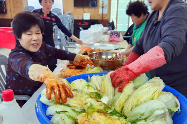 평리부녀회원들의 김장김치를 담그고 있다. /울릉군새마을회