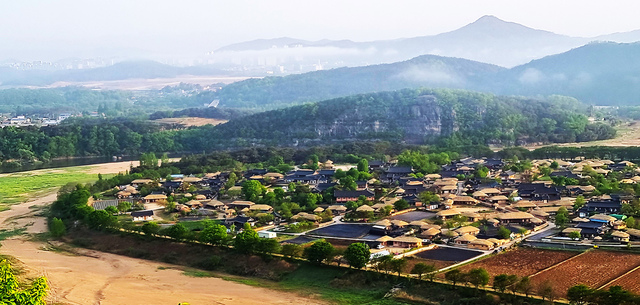 부용대 겸암정자에서 바라본 만송정.
