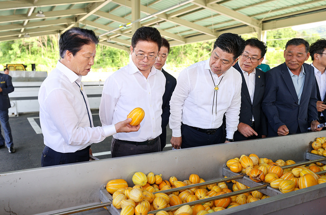 이병환 성주군수(왼쪽 첫번째)가 성주군 참외 선별장을 방문한 이철우 경북도지사(왼쪽 두번째)에게 불량참외 처리에대해 설명 하고있다.