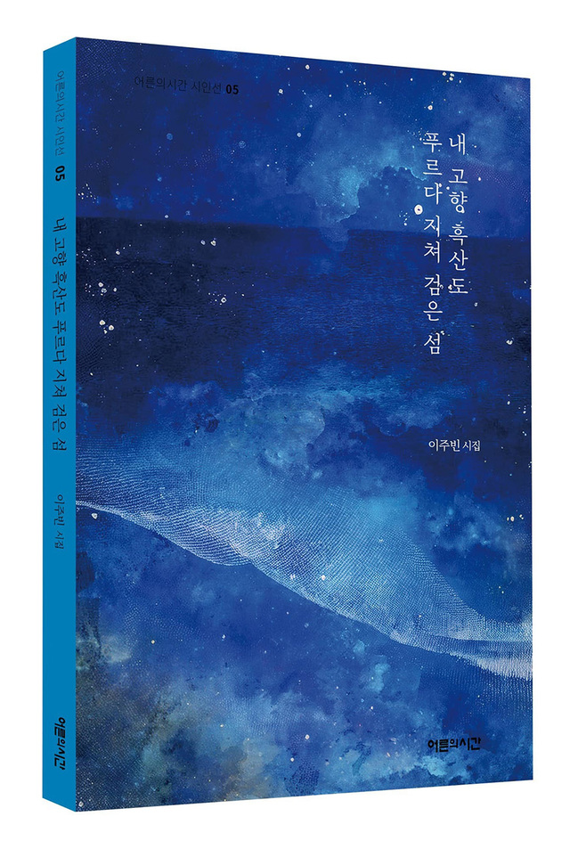 이주빈 시집 ‘내 고향 흑산도 푸르다 지쳐 검은 섬’.