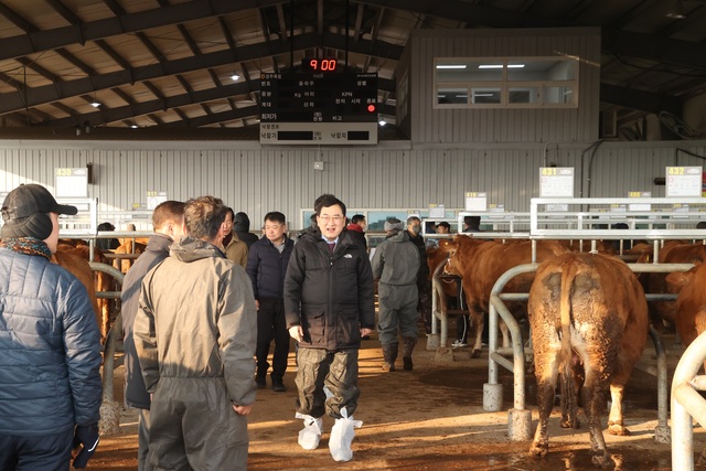 주낙영 경주시장 한우농가 현장 방문. /경주시제공