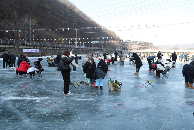 지난 주말 안동암산얼음축제장에서 빙어낚시를 즐기고 있는 관광객들.  /피현진 기자