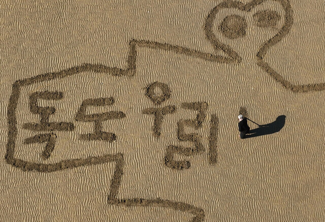 기사사진