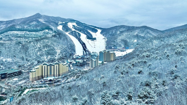 곤지암리조트