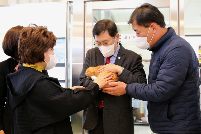 경주시가 문체부·한국관광공사 주관 ‘2025 반려동물 친화관광도시’ 공모에 최종 선정된 가운데, 주낙영 경주시장이 경주동물사랑보호센터를 찾아 유기묘를 돌보고 있는 모습. /경주시 제공