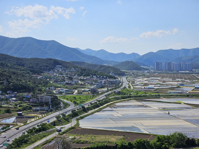 현곡면 금장교차로 전경. /경주시 제공