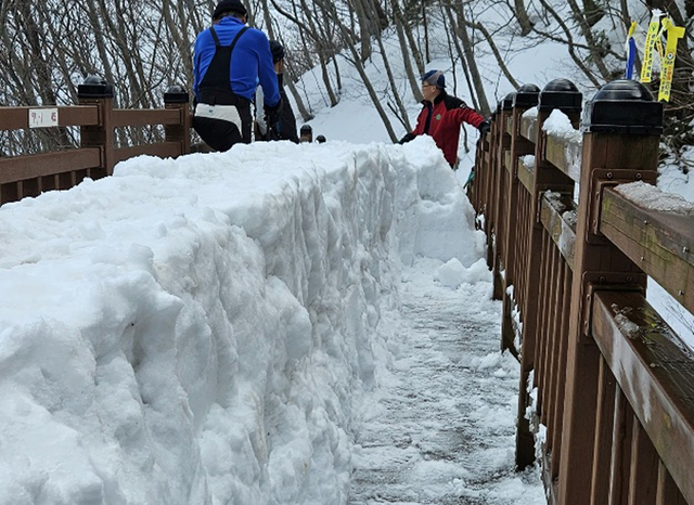 울릉산악회원들이 제설작을 하고 있다. /울릉산악회