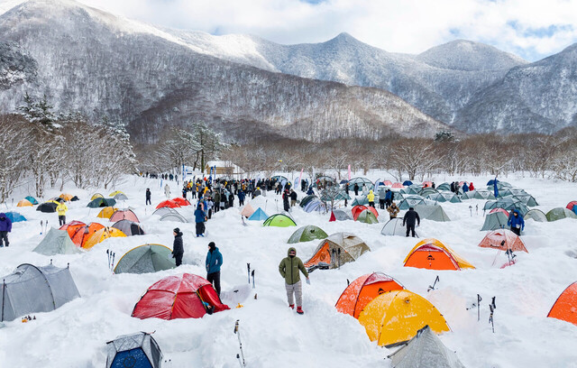알프스와 같은 성인봉(해발 987m 가운데 뾰족한 산)과 주변 산들./울릉산악구조대 제공