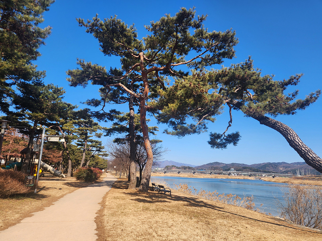 조금씩 봄이 오고 있는 문경 영신숲 산책길.