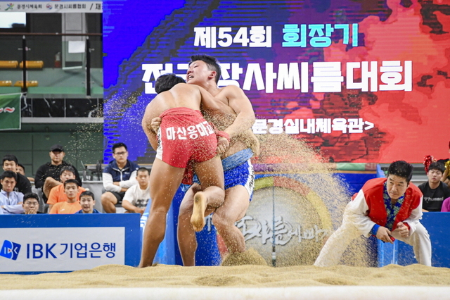 기사사진