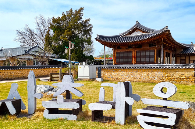 사촌리는 만년송과 함께 노거수로 울창한 마을 숲이 있다.