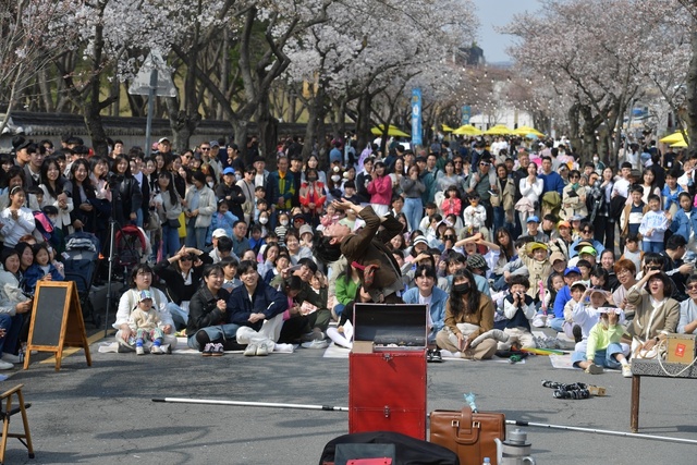 지난해 대릉원 돌담길 벚꽃축제 현장. /경주시 제공