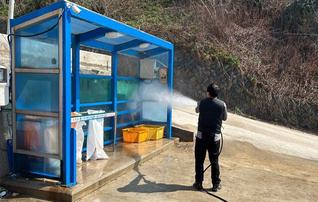 클린하우스를 깨끗하게 청소하고 있다./울릉군