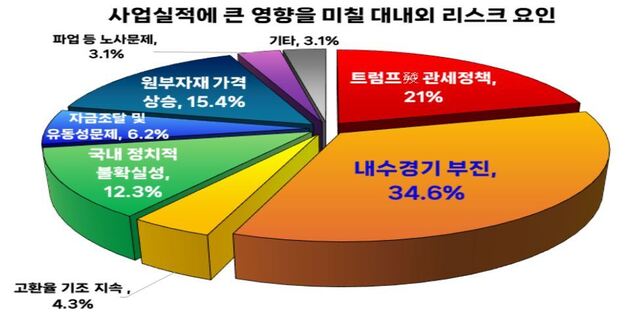 포항상공회의소의 2분기 BSI전망 조사결과 지역기업들이 우려하는 대내외리스크. /포항상의 제공