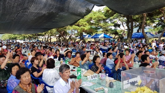 예년에 열렸던 솔밭축제 모습. /고성환 기자