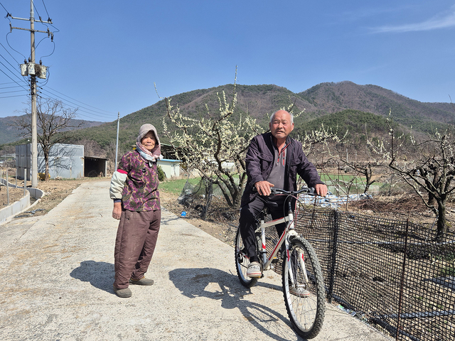 최순자(84·왼쪽), 공진국(74) 어르신이 젊은 시절 산수유 농사가 한창일 때를 회상하며 이야기하고 있다.
