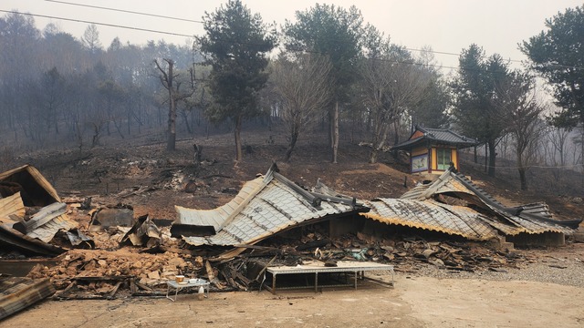 산불로 무너진 영양군 석보면 화매1리 법성사. 무너진 건물 뒷편의 극락전으로 미뤄 이곳이 절터 였음을 알 수 있다. /장유수기자