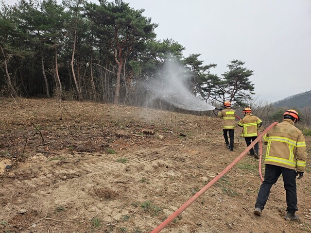 사진설명-국가유산청이 산불 확산을 막기 위해 병산서원 뒷쪽 야산의 수목을 제거해 방화선을 구축했다./경북소방본부 제공