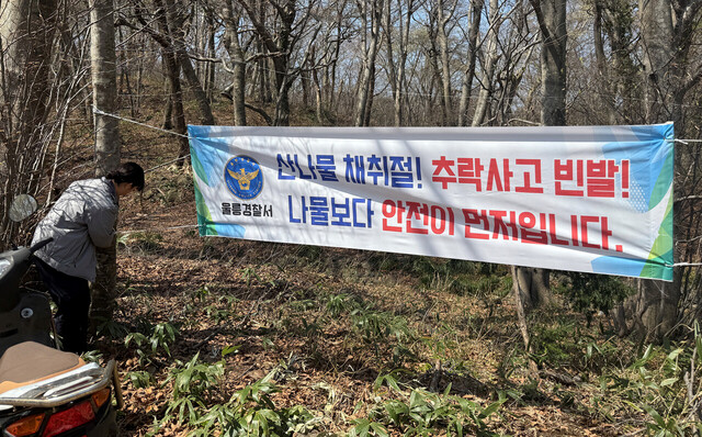 울릉경찰서가 주료입산로에 안전 현수막을 설치했다./울릉경찰서