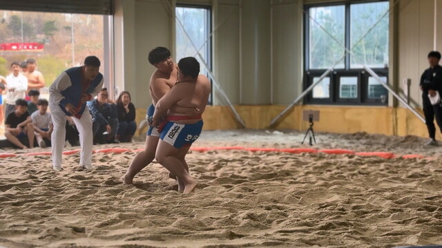 호서남초등학교 장사급 6학년 김강민 선수 경기 모습(오른쪽).  /문경교육지원청 제공