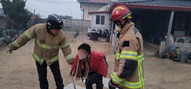 기사사진