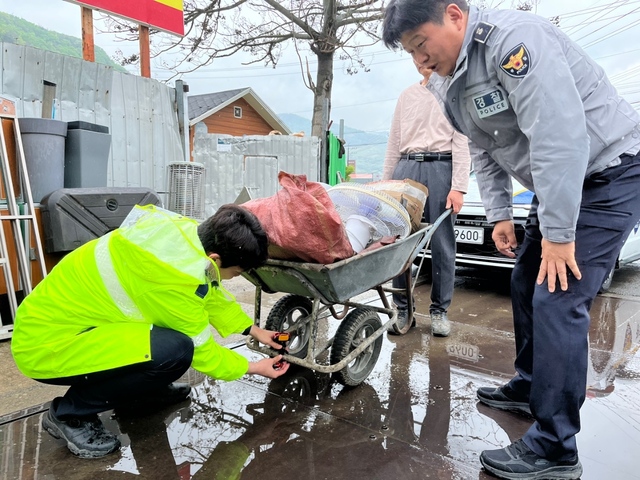 기사사진