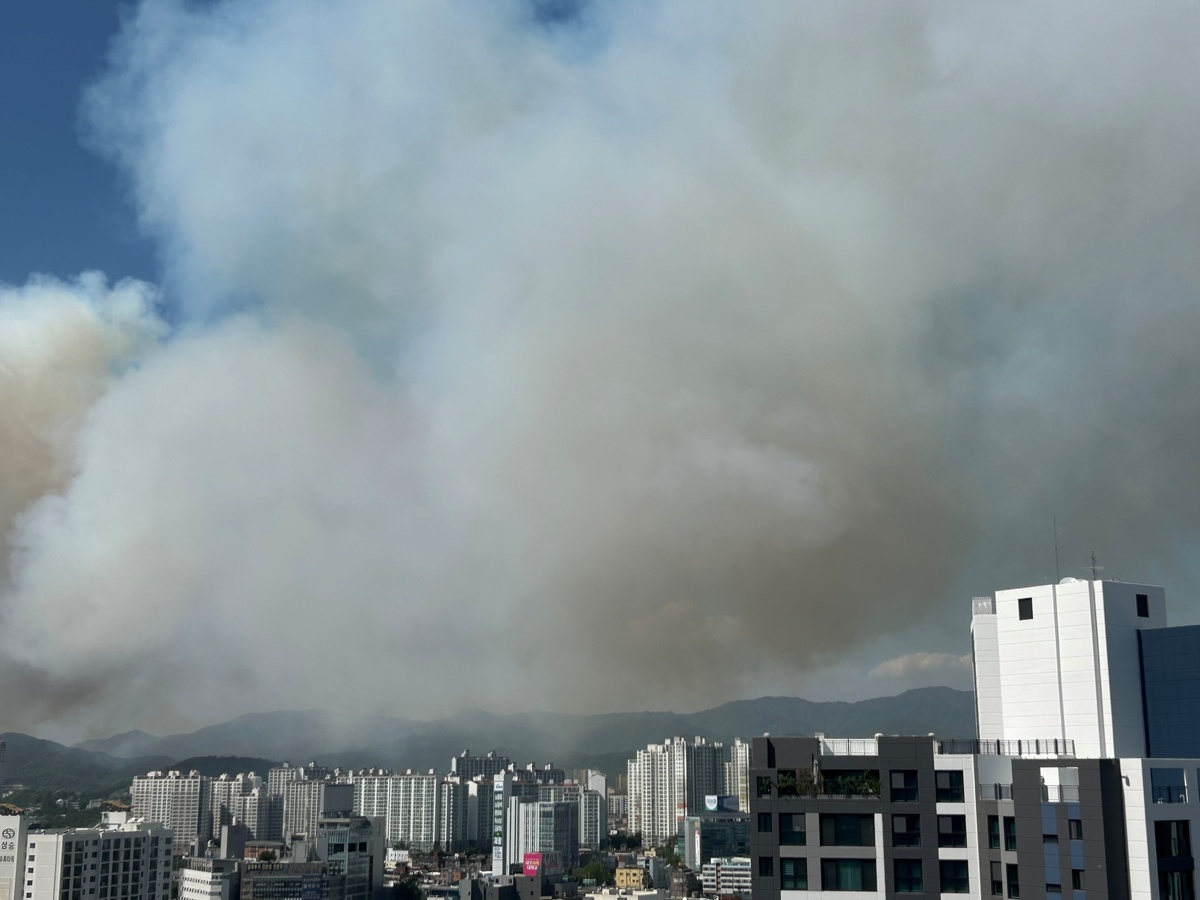 기사사진
