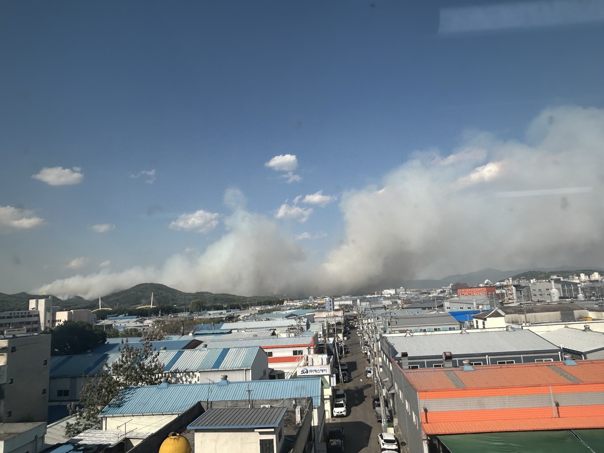 기사사진