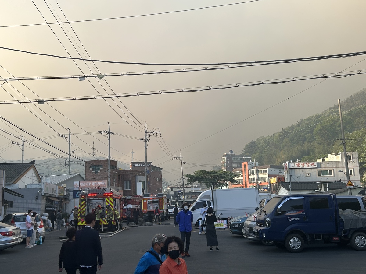 기사사진