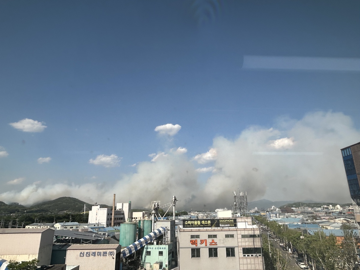 기사사진