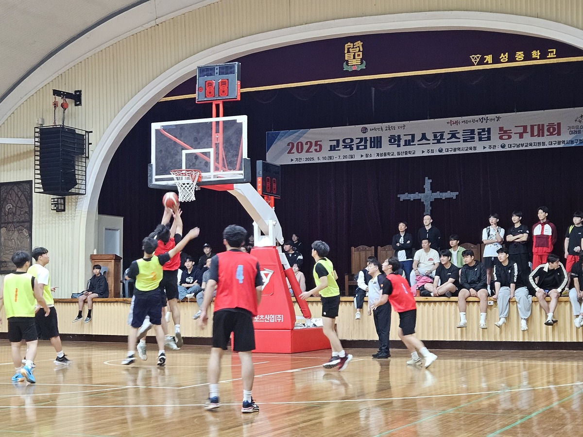기사사진